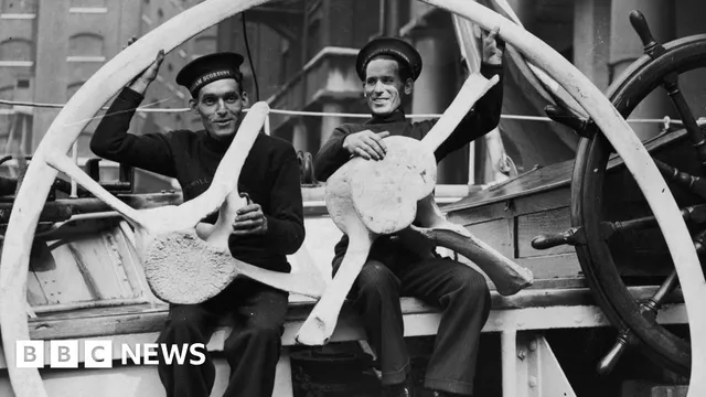 William Scoresby revolutionized our understanding of ocean currents