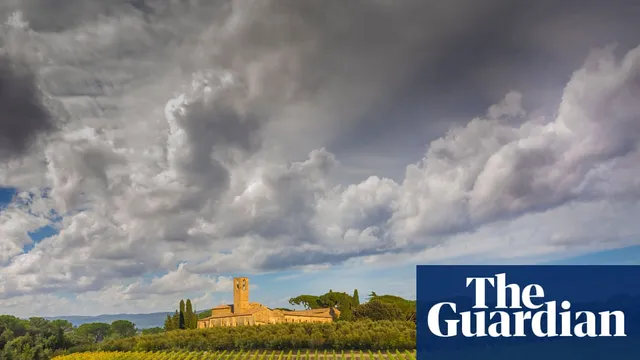 Ancient grape seeds reveal origins of modern winemaking
