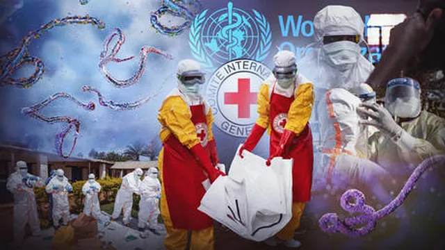 Ebola outbreak claims 181 lives in DR Congo amid conflict