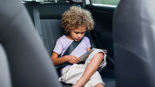 Police to visit guardians of 109 children not wearing seat belts in Devon and Cornwall