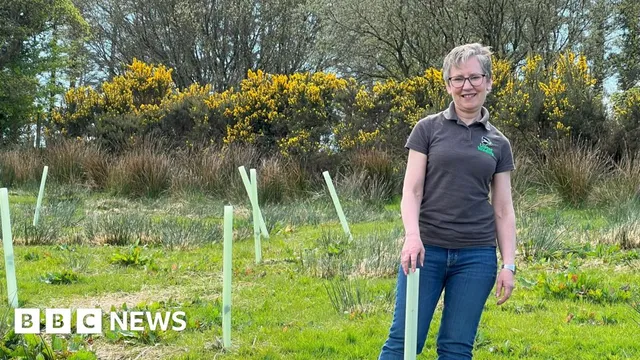 Ulster Wildlife embarks on a century-long rainforest restoration project