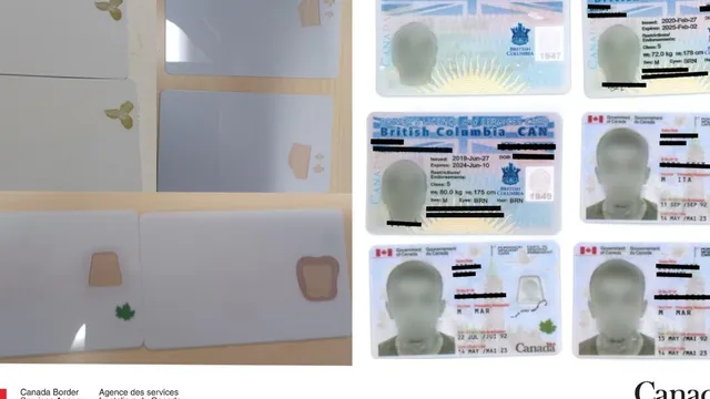 Quebec man jailed for smuggling 1,000 fake IDs from China