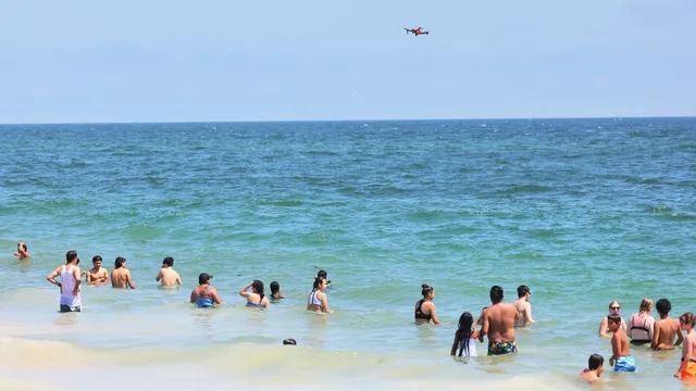 Shark sightings close New York beaches during busy July 4 weekend