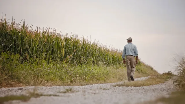 Historic Payout for Discriminated Farmers