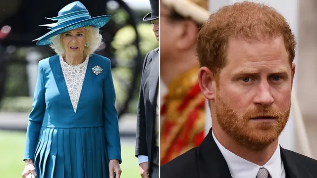 Channel 4's Documentary Explores Camilla as Harry's Wicked Stepmother