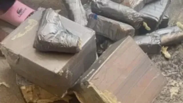 South Florida man pleads guilty to smuggling firearms into Haiti