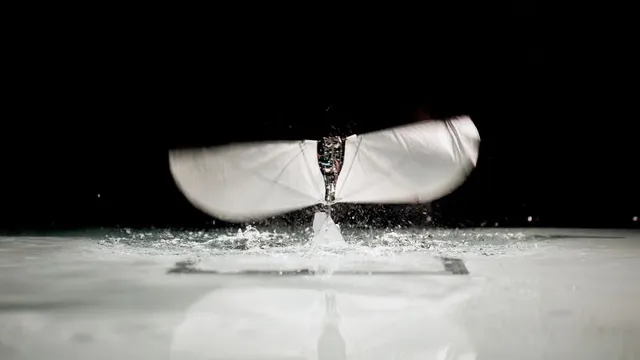 MIT develops a $300 robot that can fly and swim