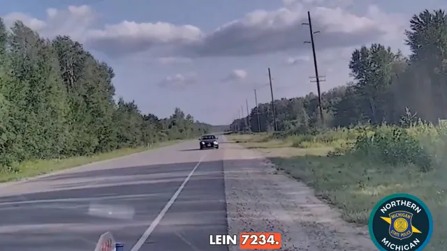 Man charged after nearly crashing into police vehicle in Michigan