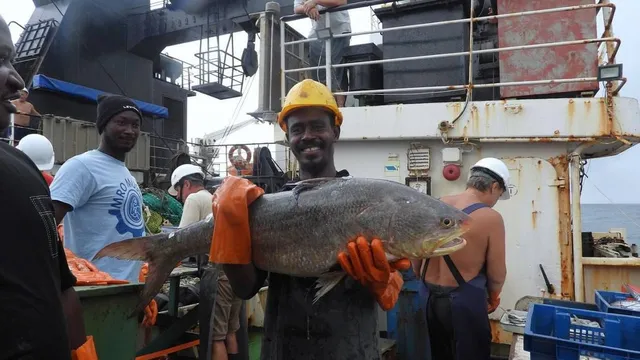 Russian scientists complete major study of African waters