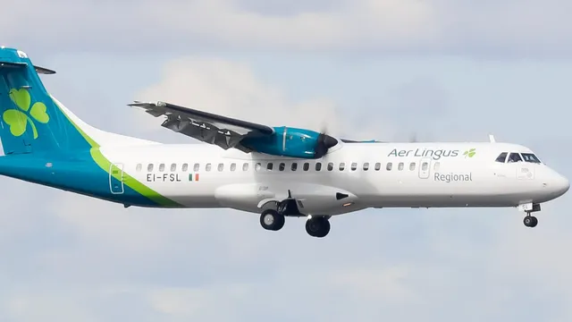 Aer Lingus flight forced to return after panelling falls off mid-air