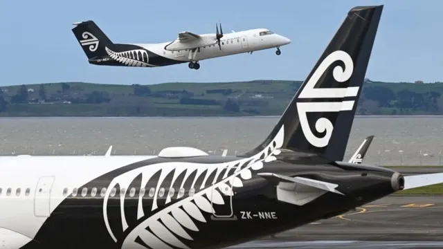Air New Zealand cuts flights amid economic downturn