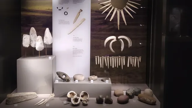 DNA analysis reveals ancient shaman was a woman, challenging gender stereotypes