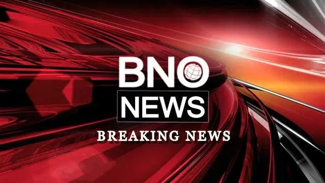 39-year-old woman arrested after stabbing 12 people at Hamburg train station