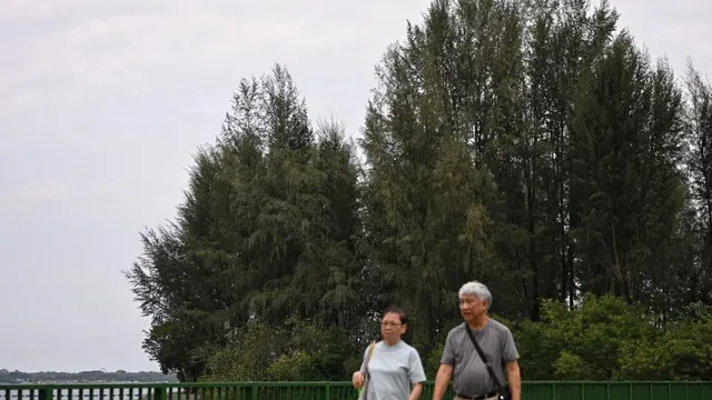 NParks replaces trees at Coney Island to boost biodiversity