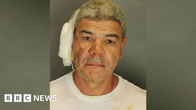 Firebombing suspect pleads guilty to murder of demonstrator in Colorado