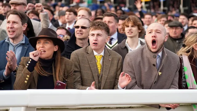 Cheltenham Festival horse Hansard dies after injury during race