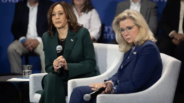Ilhan Omar blames Liz Cheney endorsement for Harris's defeat