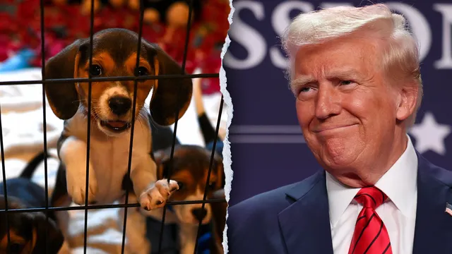 Trump administration announces end to cruel animal testing practices