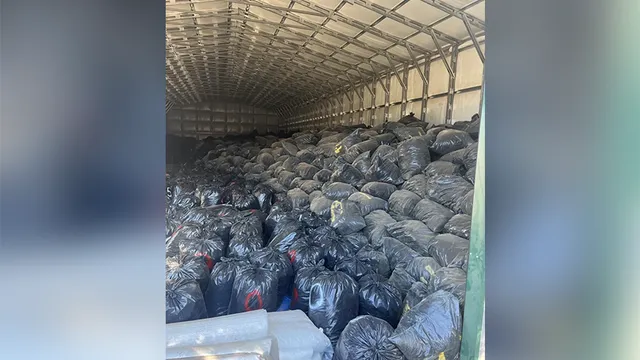 Sheriff discovers $100 million worth of illegal marijuana in California building