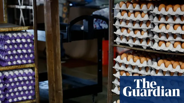 FDA warns of deadly salmonella risk in recalled eggs