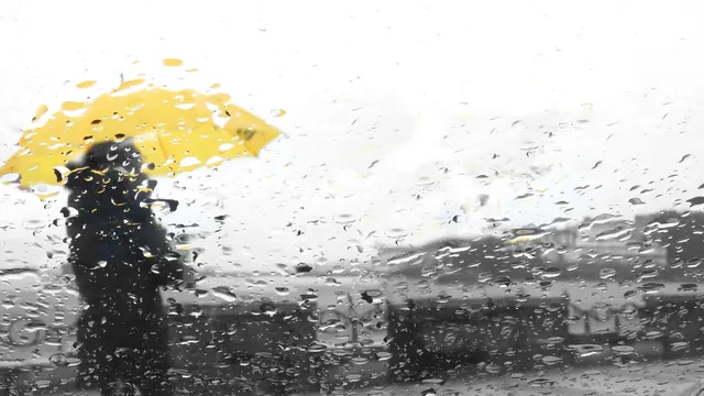 Bay Area braces for potential rain on Thanksgiving Day