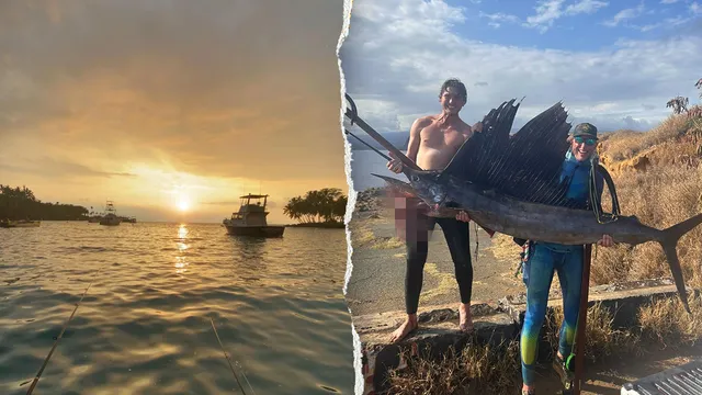 Fisherman survives shark attack through quick thinking and self-care