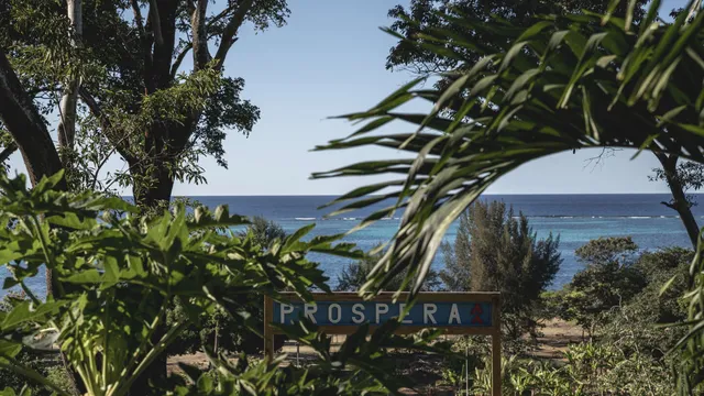 Prospera: Private Libertarian City in Honduras