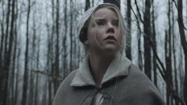 The Witch: A Haunting Tale of Paranoia and Witchcraft in 1630 New England