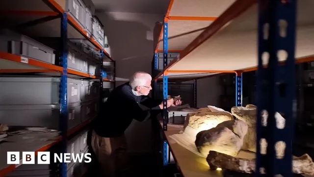 Retired GP unearths new dinosaur species on the Isle of Wight