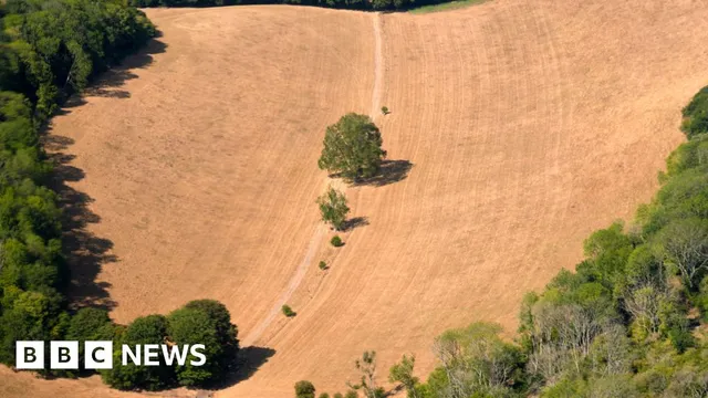 UK faces record-breaking summer heat and drought conditions