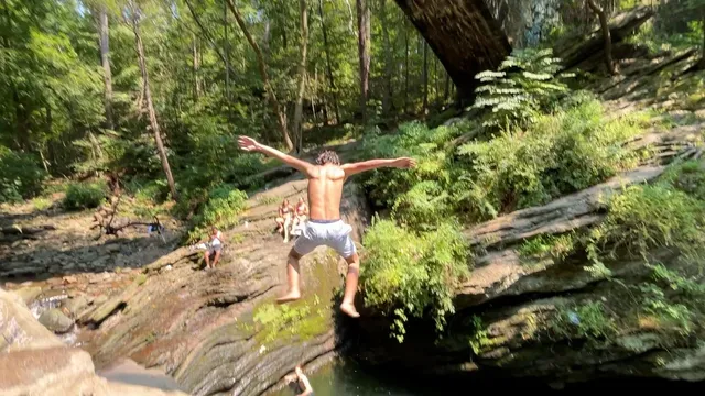 Petition launched to tackle trash crisis at Devil's Pool