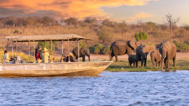 Dyslexic girl finds her voice through safari adventure