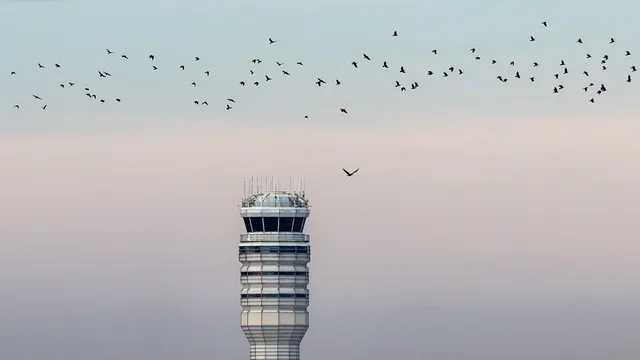 FAA employee charged with assault after violent altercation in control tower