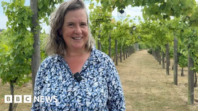 Kent emerges as a major wine destination with record production