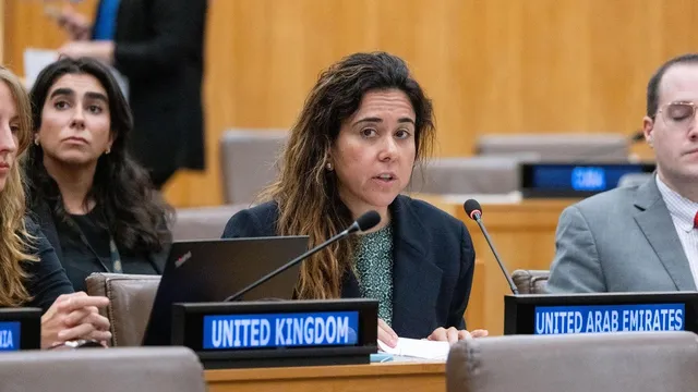UAE diplomat Lana Nusseibeh enters race to become next UN secretary-general