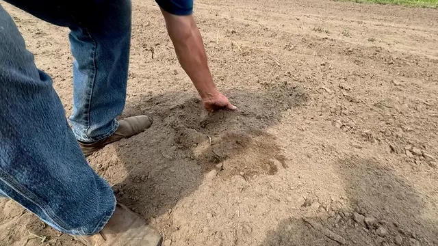 Minnesota farmer says 2026 drought is one of the worst in his lifetime