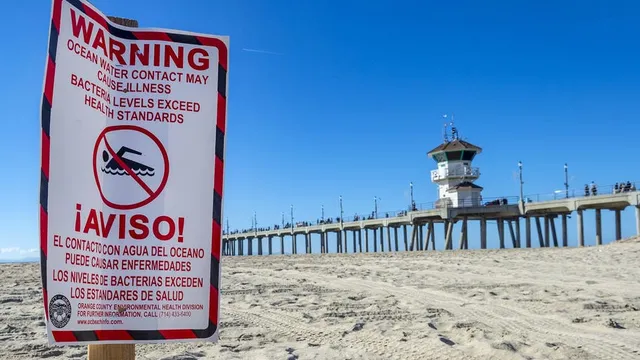 Beaches in Oakland County face advisories due to dangerous bacteria levels