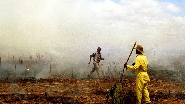 Zimbabwe starts compensating white farmers for land seizures