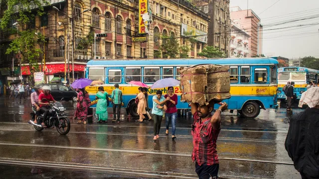 World Health Organisation declares low risk from India's Nipah virus outbreak