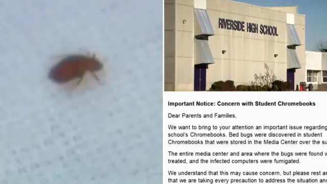 Bed bugs found in laptops at North Carolina high school