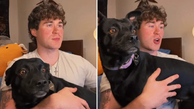 Man learns his rescue dog is an unexpected mix of breeds after DNA test