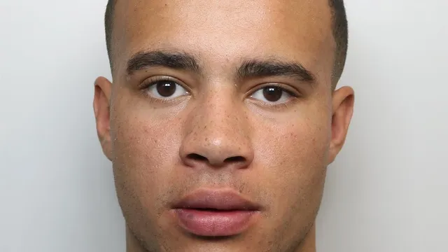 Police charter private jet for extraditing TikTok influencer despite judge's objections