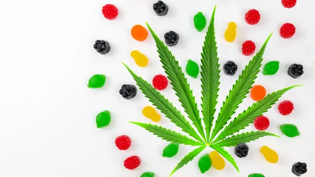 Consumers prioritize fast-acting cannabis edibles and pay a premium