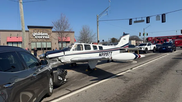 Pilot narrowly avoids disaster during emergency landing in Georgia