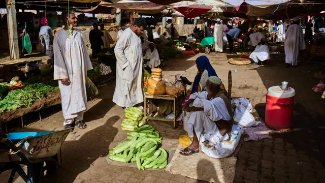 Over 40% of Sudan faces acute food insecurity amid ongoing conflict