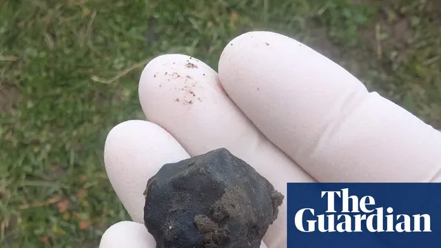 Citizen scientist discovers New Zealand's 11th meteorite
