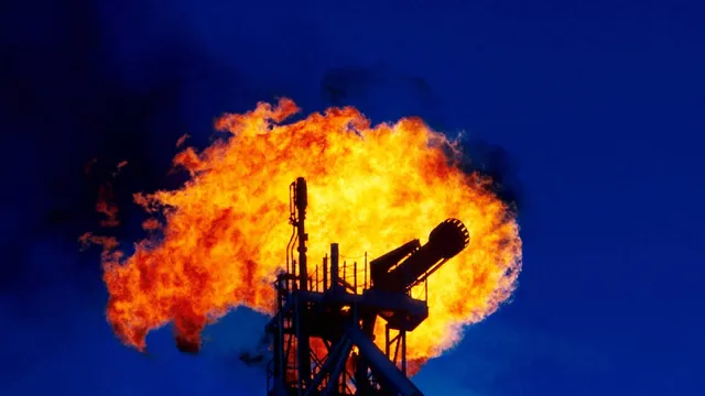 BP's profits plummet as share buybacks halt