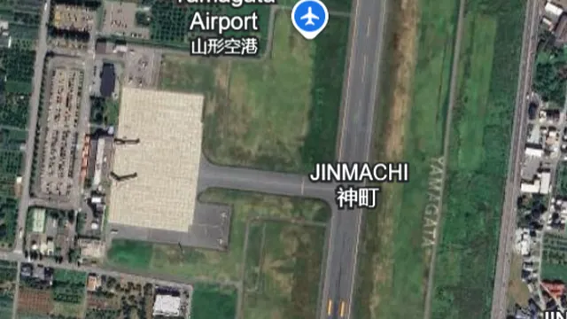 Bear forces Yamagata Airport to cancel flights amid chaos