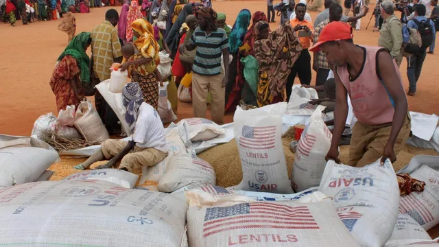Somalia faces severe hunger as 6.5 million people struggle amid crisis