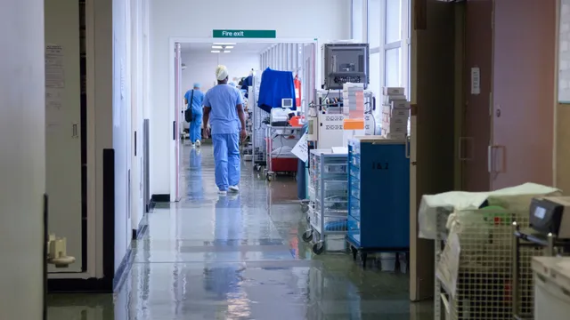 Surge of flea-borne typhus cases raises alarm in California